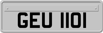 GEU1101