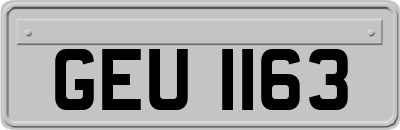 GEU1163
