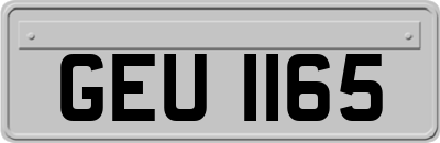 GEU1165