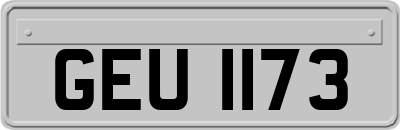 GEU1173