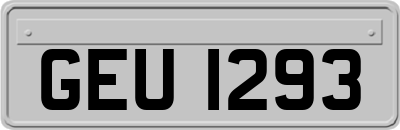 GEU1293
