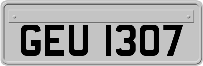 GEU1307