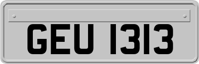 GEU1313