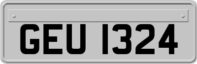 GEU1324