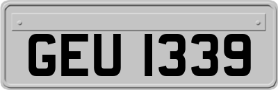 GEU1339