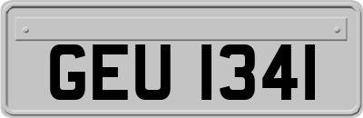 GEU1341