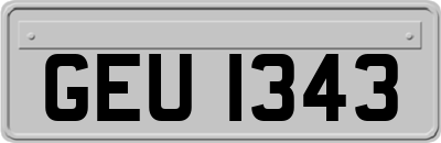 GEU1343