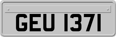 GEU1371