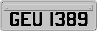GEU1389