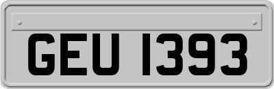 GEU1393
