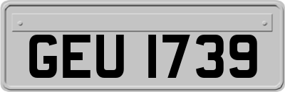 GEU1739