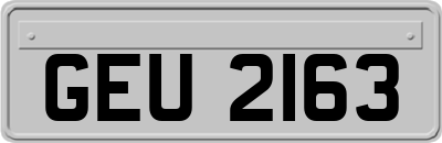 GEU2163