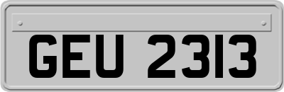 GEU2313