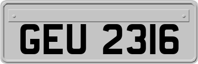 GEU2316