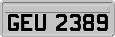GEU2389