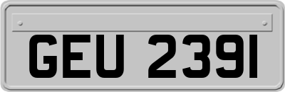 GEU2391