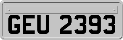 GEU2393