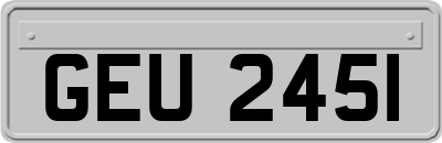 GEU2451