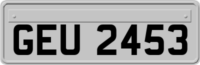 GEU2453