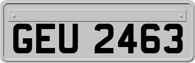 GEU2463