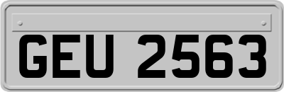 GEU2563