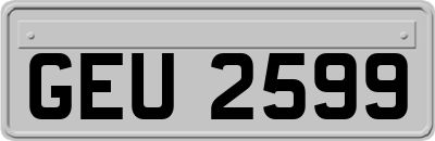 GEU2599