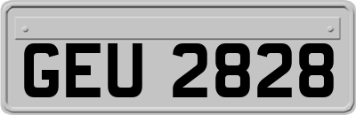 GEU2828