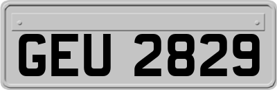 GEU2829