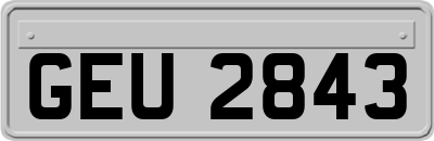 GEU2843