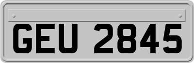 GEU2845