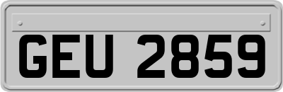GEU2859