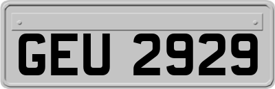 GEU2929