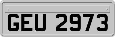 GEU2973