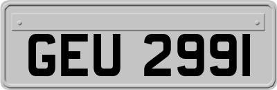 GEU2991