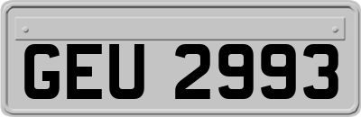 GEU2993