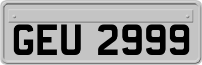 GEU2999