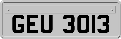 GEU3013