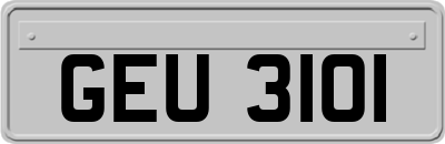 GEU3101