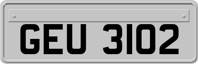 GEU3102