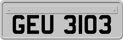 GEU3103