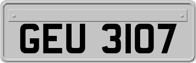 GEU3107