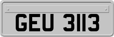GEU3113