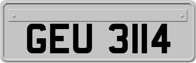 GEU3114
