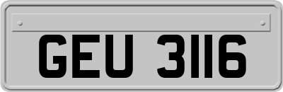 GEU3116
