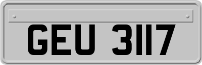 GEU3117