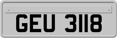 GEU3118