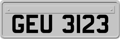 GEU3123