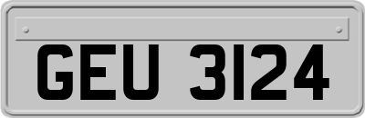 GEU3124