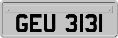 GEU3131