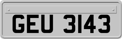 GEU3143